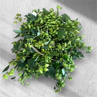 Hop Bines
