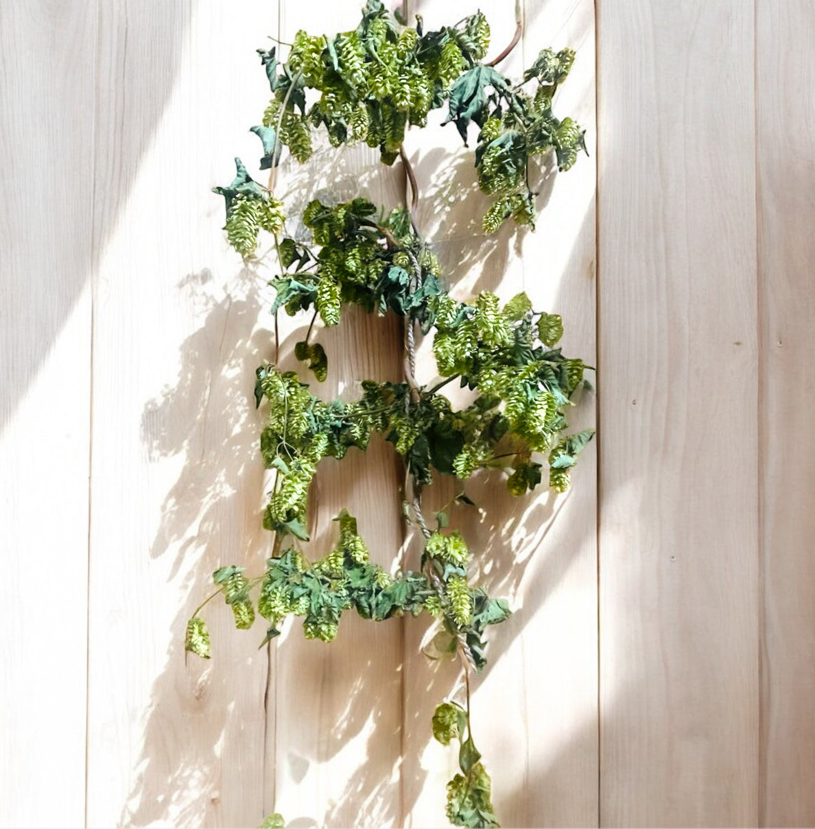 Whole Leaf Dried Hop Flowers β Preserved for Wedding & Fall Decor