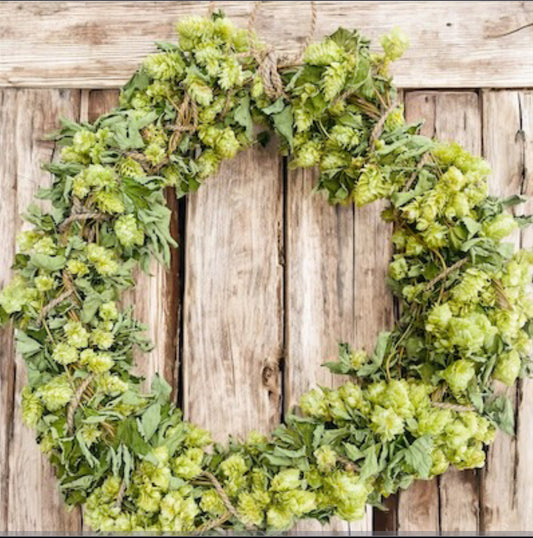 Whole Leaf Dried Hop Flowers – Preserved for Wedding & Fall Decor