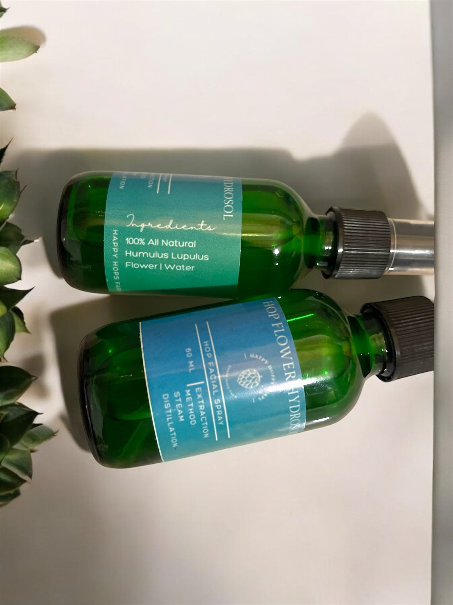 Hop Hydrosol Facial Spray