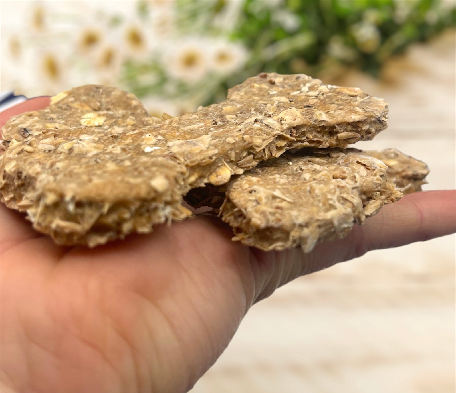 Large Bag of Spent Grain Dog Treats – Happy Hops Farm