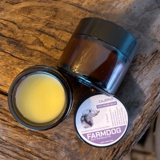 Paw Balm Salve: Soothing & Nourishing Care for Your Dogโs Paws ๐พโจ