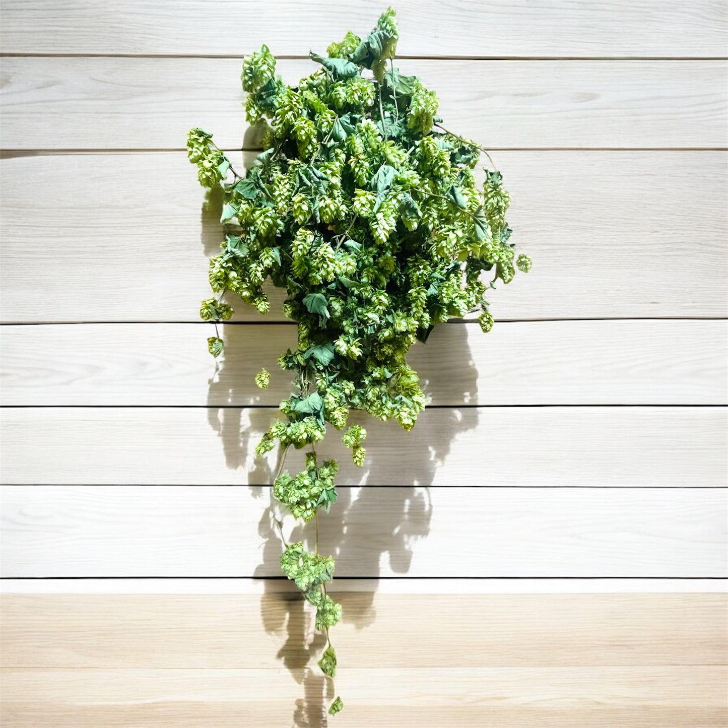 Whole Leaf Dried Hop Flowers β Preserved for Wedding & Fall Decor