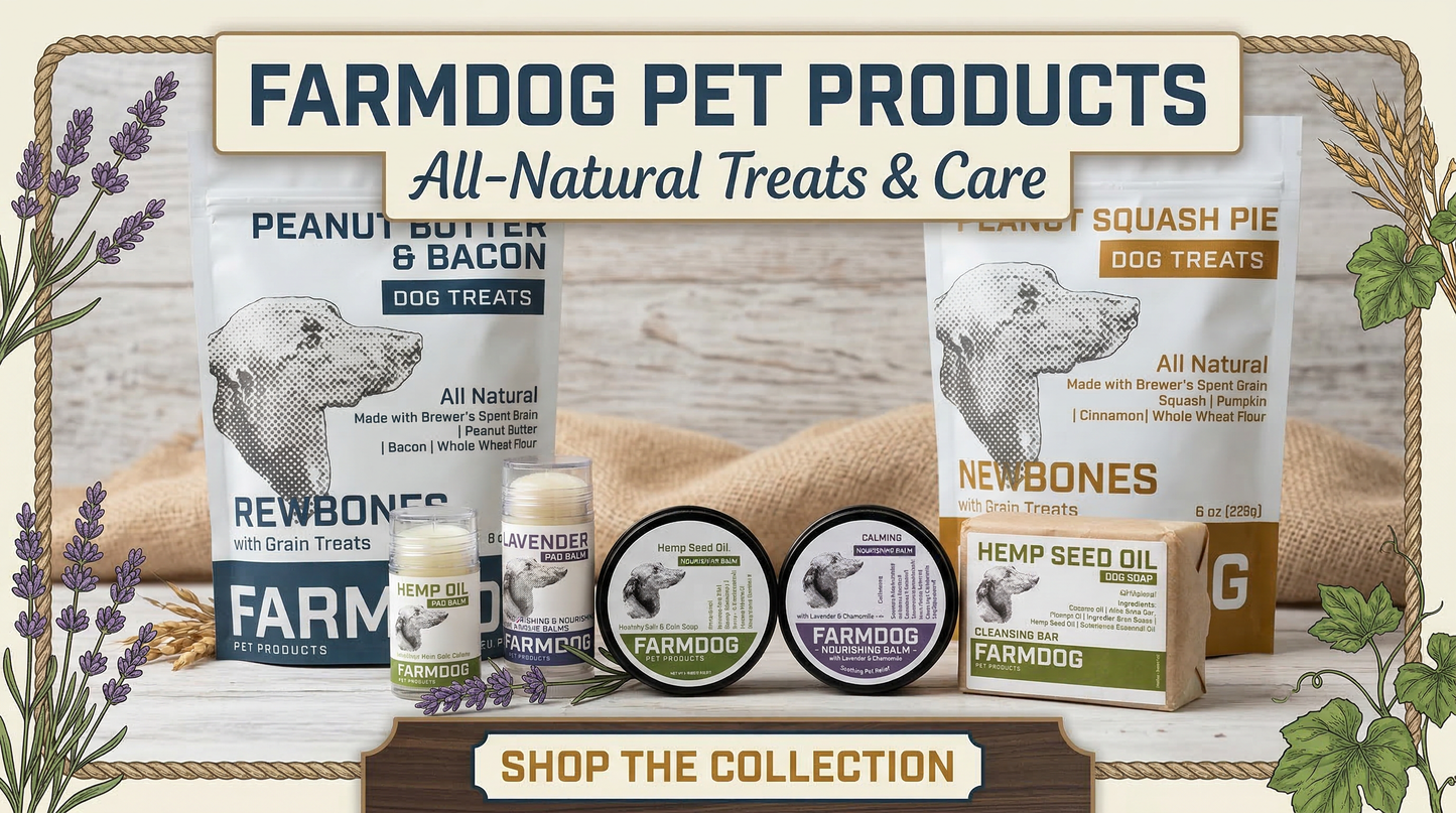 Paw Balm Salve: Soothing & Nourishing Care for Your Dog’s Paws 🐾✨