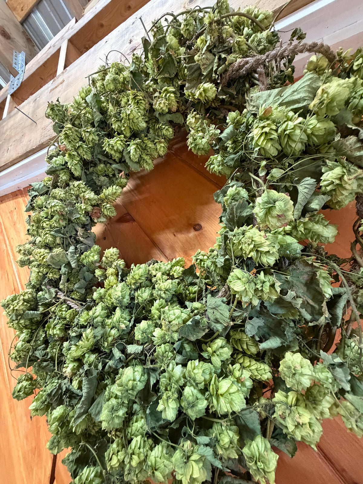 Dried Hop Wreath – Preserved for Wedding & Fall Decor - Hops Flower