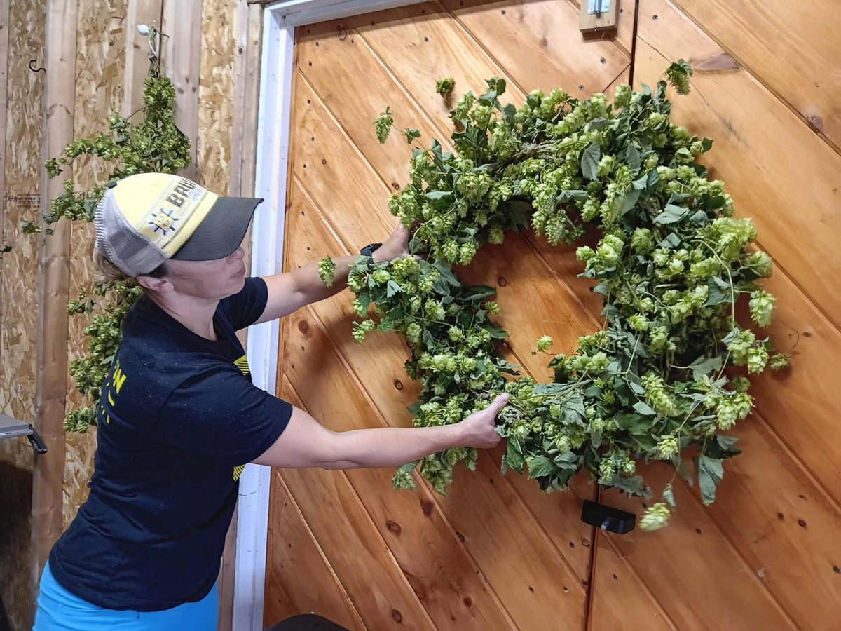 Dried Hop Wreath – Preserved for Wedding & Fall Decor - Hops Flower
