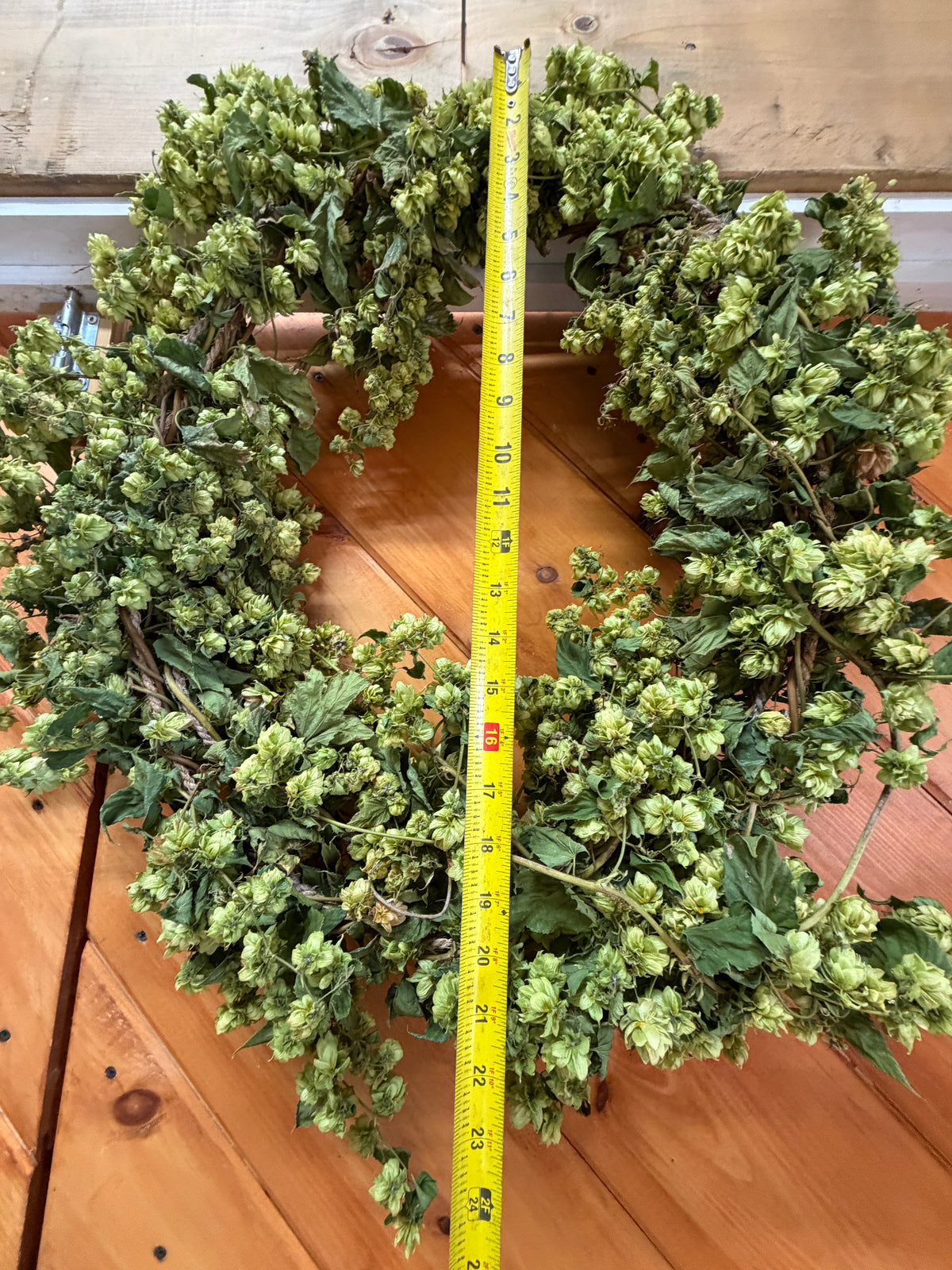 Dried Hop Wreath – Preserved for Wedding & Fall Decor - Hops Flower
