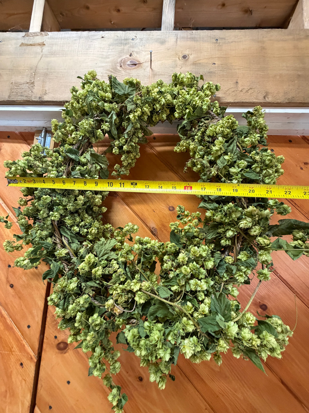 Dried Hop Wreath – Preserved for Wedding & Fall Decor - Hops Flower