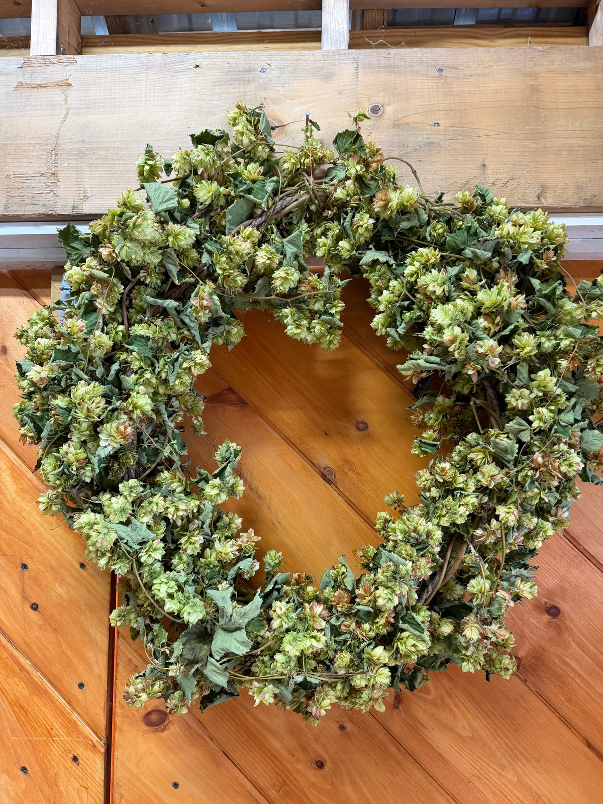 Dried Hop Wreath – Preserved for Wedding & Fall Decor - Hops Flower