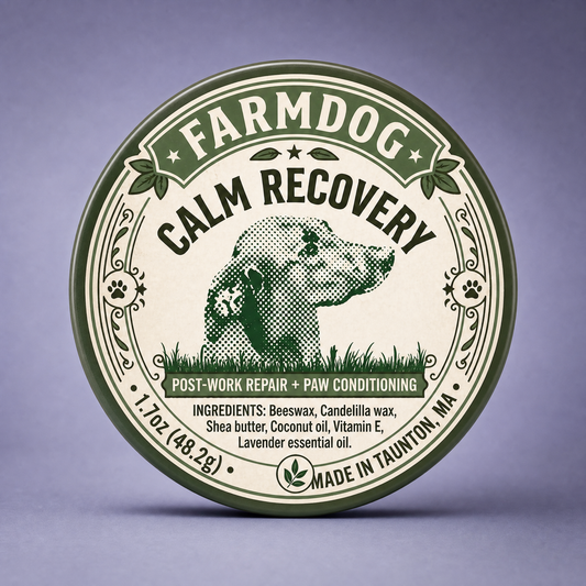 Paw Balm Salve: Soothing & Nourishing Care for Your Dog’s Paws 🐾✨