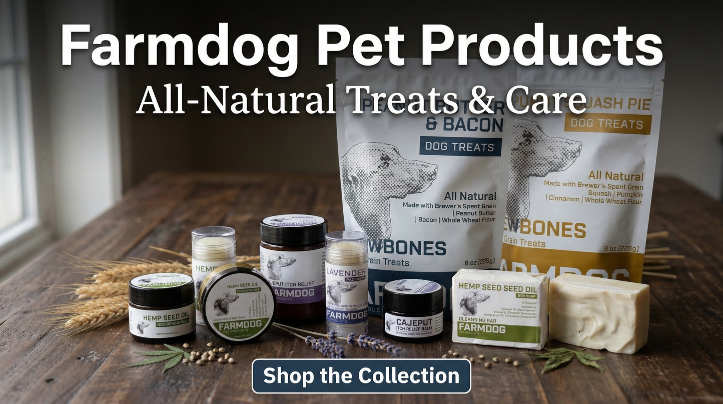 Paw Balm Salve: Soothing & Nourishing Care for Your Dog’s Paws 🐾✨